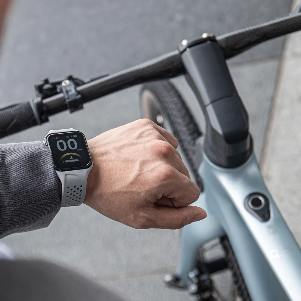 Miniatura 11